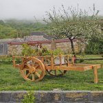 Kirayə (günlük) 3 otaqlı Həyət evi/villa Qəbələ 9