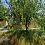 Kirayə (aylıq) 5 otaqlı Bağ evi, Nardaran qəs., Sabunçu rayonu 3