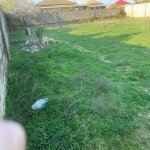 Satılır Torpaq, Novxanı, Abşeron rayonu 2