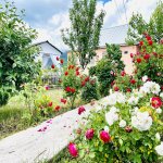 Kirayə (günlük) 4 otaqlı Bağ evi İsmayıllı 1