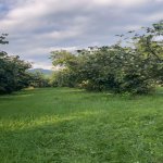 Satılır Torpaq Oğuz 2