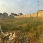 Satılır Torpaq, Saray, Abşeron rayonu 3
