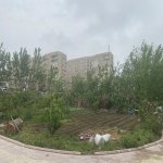 Satılır Torpaq, Lökbatan qəs., Qaradağ rayonu 26