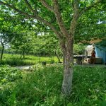 Посуточно 3 комнатная Дома/Виллы Исмаиллы 3