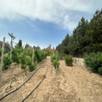 Satılır Torpaq, Mərdəkan, Xəzər rayonu 8
