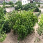 Продажа 6 комнат Дача, Шювалан, Хязяр район 34