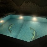 Kirayə (aylıq) 7 otaqlı Bağ evi, Xəzər rayonu 3