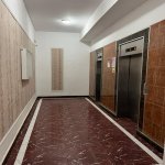 Kirayə (aylıq) 3 otaqlı Yeni Tikili, Nəsimi rayonu 2