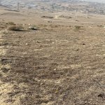 Satılır Torpaq, Hökməli, Abşeron rayonu 14