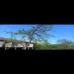 Satılır Torpaq Qəbələ 7