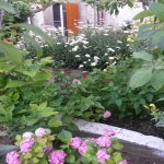 Продажа 6 комнатная Дома/Виллы, Новханы, Абшерон район 12