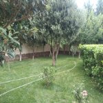 Kirayə (aylıq) 9 otaqlı Həyət evi/villa, Badamdar qəs., Səbail rayonu 3