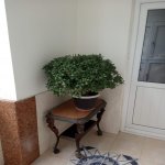 Kirayə (aylıq) 2 otaqlı Yeni Tikili, Nizami metrosu, Yasamal rayonu 18