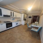 Kirayə (aylıq) 2 otaqlı Yeni Tikili, Nizami metrosu, Nəsimi rayonu 11