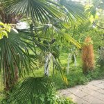 Kirayə (günlük) 3 otaqlı Həyət evi/villa İsmayıllı 3