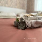 Kirayə (günlük) 2 otaqlı Köhnə Tikili, Sahil metrosu, 28 Mall, Səbail rayonu 12