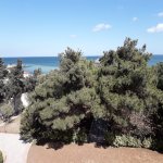 Satılır 6 otaqlı Həyət evi/villa, Nardaran qəs., Sabunçu rayonu 10