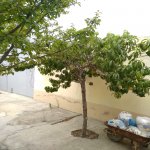 Satılır 4 otaqlı Həyət evi/villa Sumqayıt 23