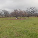 Satılır Torpaq Qəbələ 11