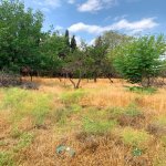 Satılır Torpaq, Qaraçuxur qəs., Suraxanı rayonu 27