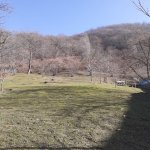 Satılır Torpaq Qəbələ 10