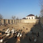 Satılır Torpaq, Masazır, Abşeron rayonu 1