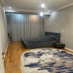 Kirayə (aylıq) 2 otaqlı Yeni Tikili, Gənclik metrosu, Nərimanov rayonu 3