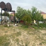 Satılır Torpaq, Novxanı, Abşeron rayonu 4