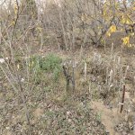 Satılır Torpaq, Novxanı, Abşeron rayonu 7