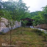 Kirayə (günlük) 3 otaqlı Bağ evi Qəbələ 11