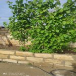 Satılır 4 otaqlı Həyət evi/villa Sumqayıt 12