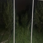 Kirayə (günlük) 3 otaqlı Bağ evi Şəki 6