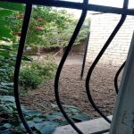Satılır 3 otaqlı Həyət evi/villa Gəncə 10