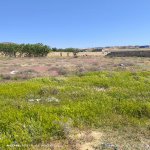 Satılır Torpaq, Saray, Abşeron rayonu 5