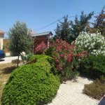 Kirayə (aylıq) 4 otaqlı Bağ evi, Pirşağı qəs., Sabunçu rayonu 31