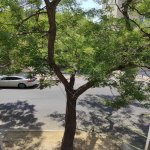 Продажа 2 комнатная Вторичка, м. Эльмляр Академиясы метро, Ясамал район 9