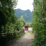 Kirayə (günlük) 6 otaqlı Bağ evi Qəbələ 22