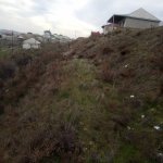 Satılır Torpaq, Saray, Abşeron rayonu 6