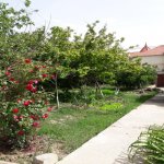 Satılır 4 otaqlı Həyət evi/villa, Saray, Abşeron rayonu 6