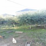 Satılır Torpaq, Əhmədli metrosu, kənd Əhmədli, Xətai rayonu 11