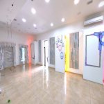 Kirayə (aylıq) Obyekt, Səbail rayonu 3