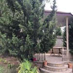 Kirayə (aylıq) 6 otaqlı Bağ evi, Novxanı, Abşeron rayonu 4