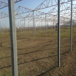 Satılır Torpaq, Novxanı, Abşeron rayonu 4