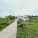 Kirayə (günlük) 4 otaqlı Həyət evi/villa Qəbələ 2