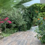 Kirayə (aylıq) 3 otaqlı Həyət evi/villa, Mərdəkan, Xəzər rayonu 15