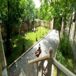 Kirayə (günlük) 4 otaqlı Həyət evi/villa Qəbələ 4