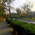 Kirayə (aylıq) 1 otaqlı Ofis, Gənclik metrosu, Nəsimi rayonu 17