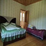 Kirayə (günlük) 4 otaqlı Həyət evi/villa Lerik 17