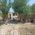 Продажа 10 комнатная Новостройка, м. Короглу метро, пос. Курдаханы, Сабунчу район 19