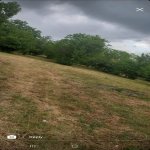 Satılır Torpaq Qəbələ 6